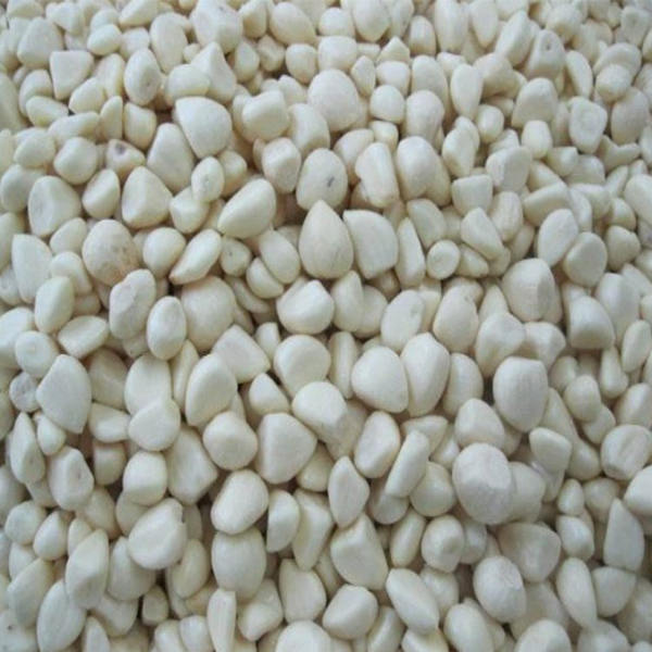 Fresh-keeping garlic rice